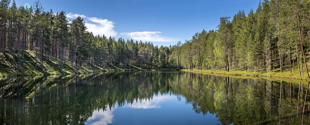 Kostomukshsky Nature Reserve, 2014