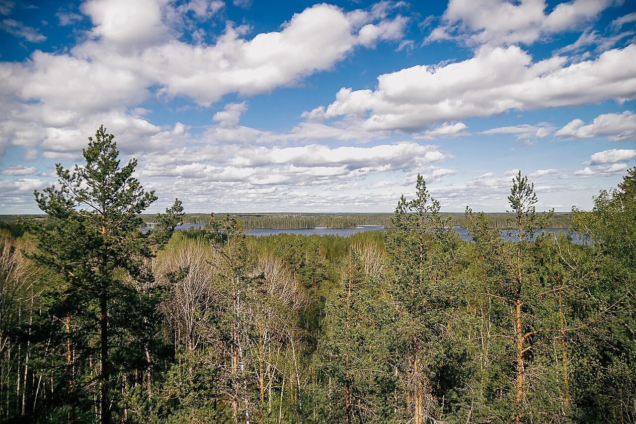 Lake Konchezero seen from Mount Sampo